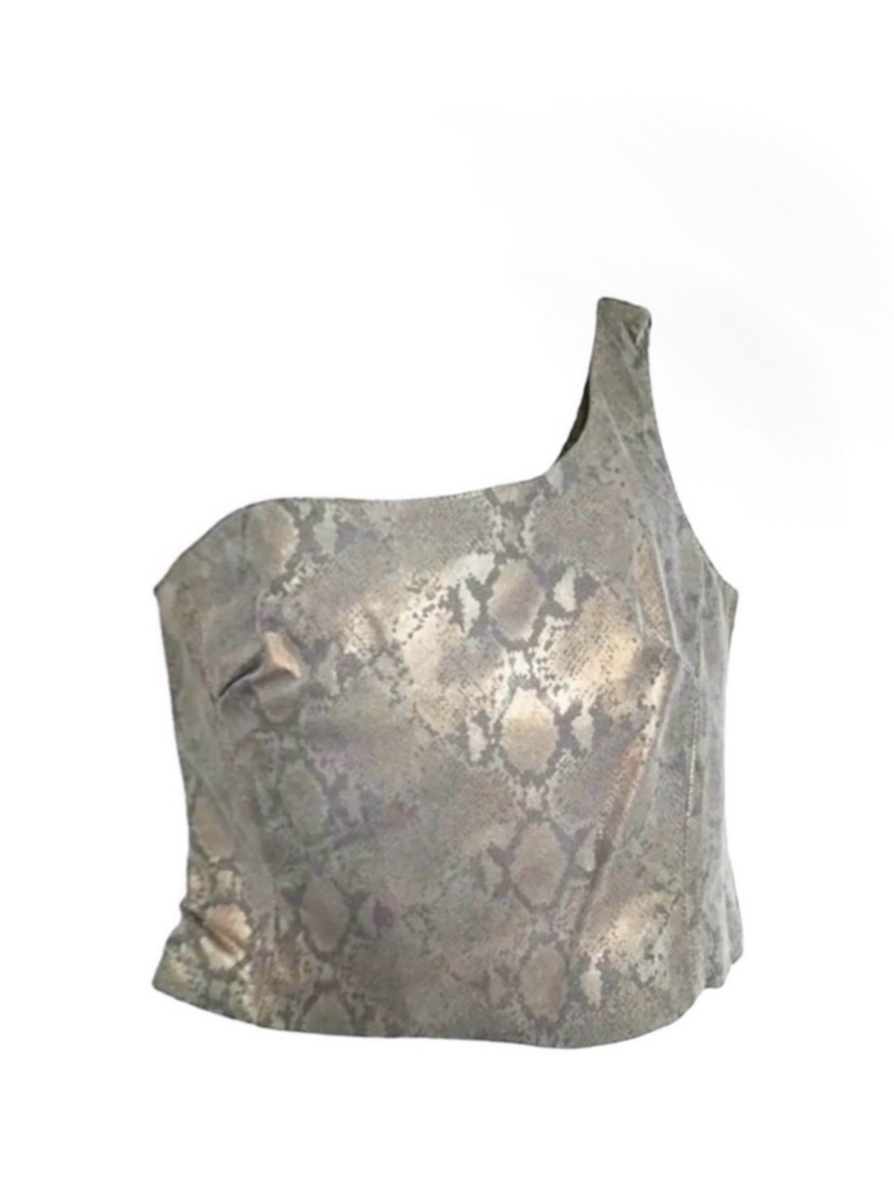 Danier One Shoulder Iridescent Python/Snakeskin Soft Leather